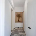 Artemida * פארוס